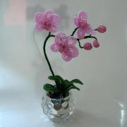 «Orchid Bead» Орхидея из бисера